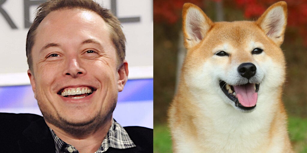 Elon Musk and Dogecoin: How the Billionaire Became the 'Dogefather'