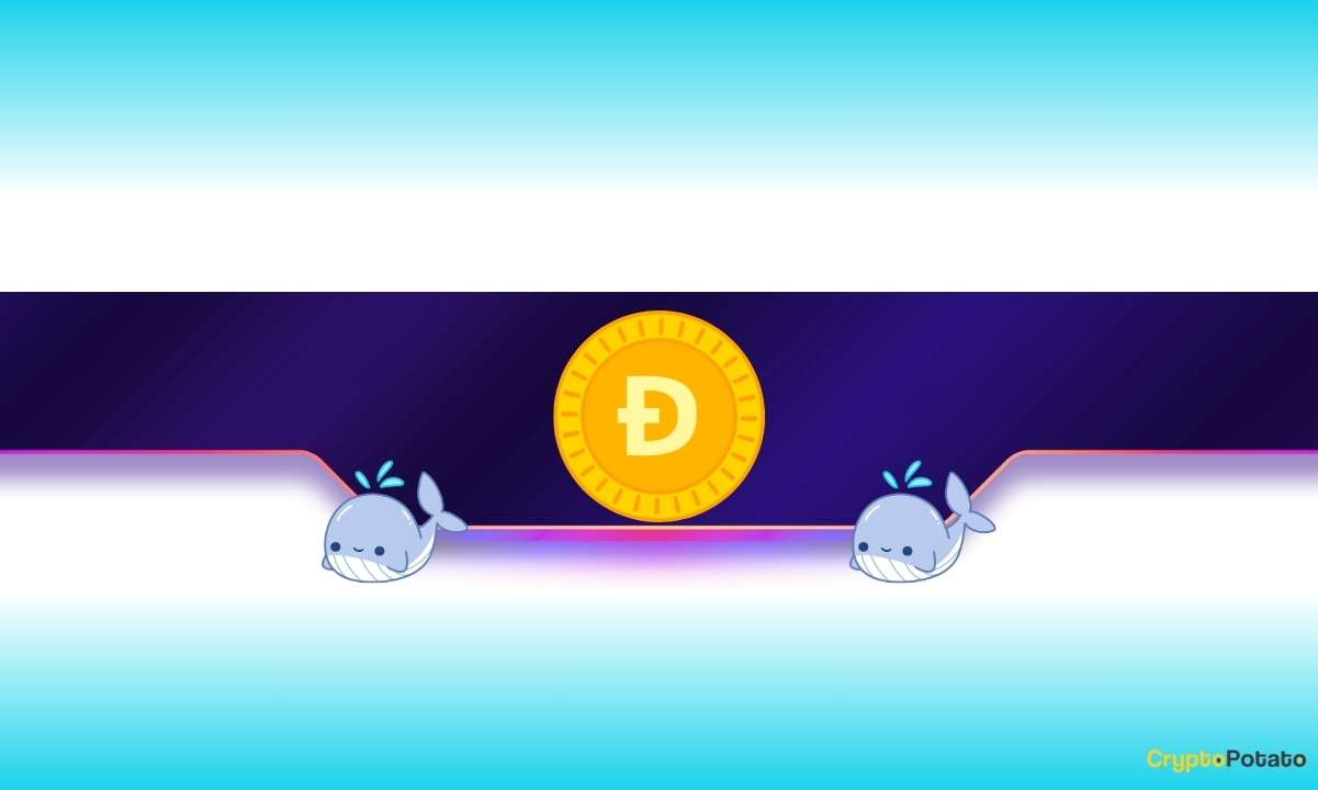 Is Dogecoin Ready to Rally After 10% Drop?