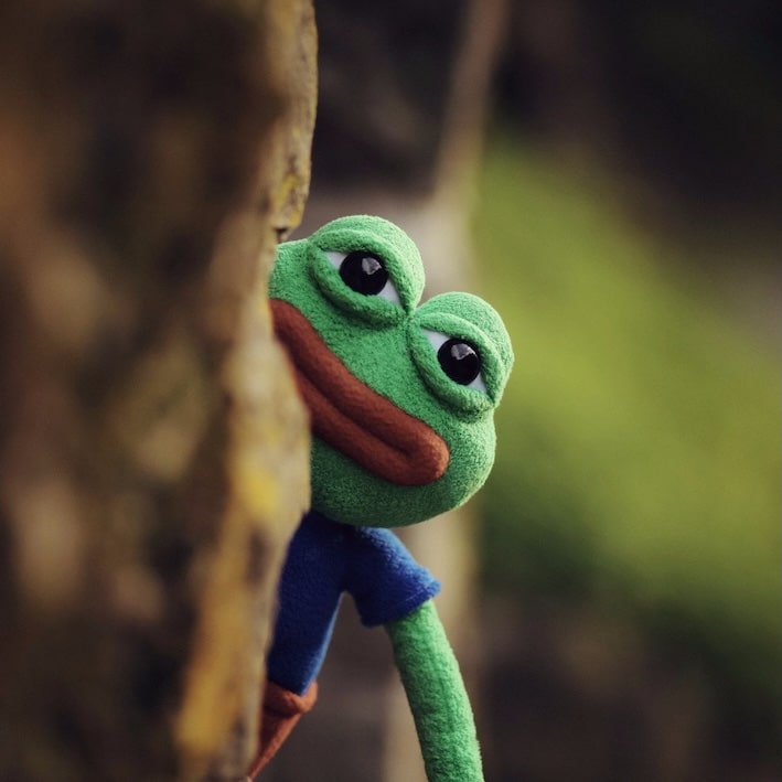 Investor Sues Pepe Creator Over Role in N Korean NFT Hack