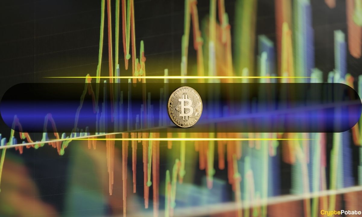 LTH Stability vs. STH Aggression Driving Bitcoin Market Volatility
