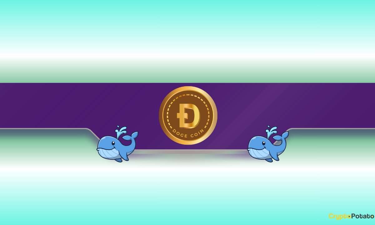 480,000,000 DOGE Snapped Up by Whales in 48 Hours: What’s Coming?